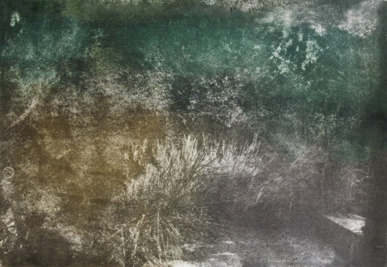 05Diminuendo guma chromianowa naswietlana na zywo 70x100cm 2017